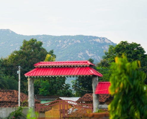 ShalJungle-Resort (1)